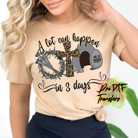 E133 3 Days Full Color DTF Transfer