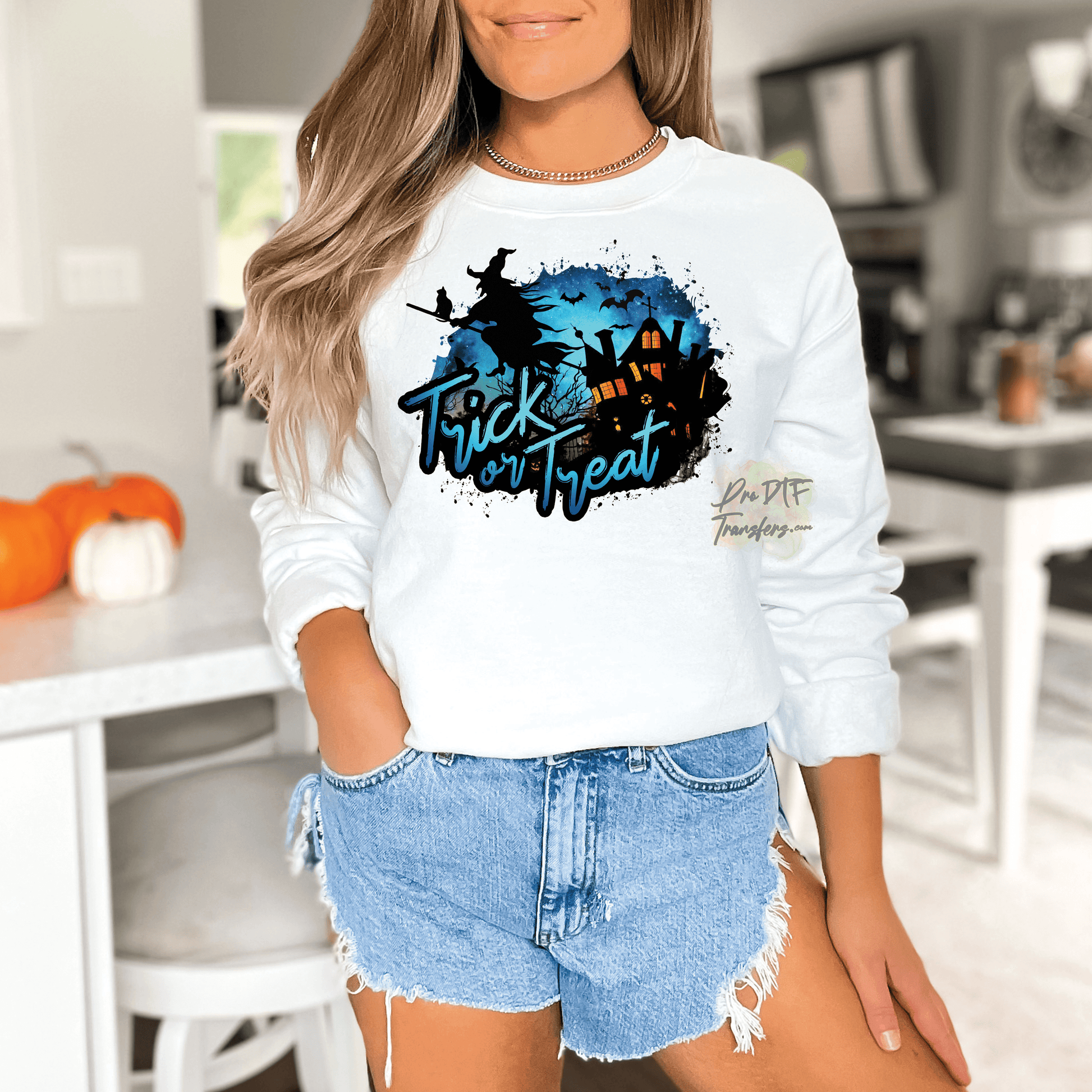 HW302 Trick or Treat Full Color DTF Transfer - Pro DTF Transfers