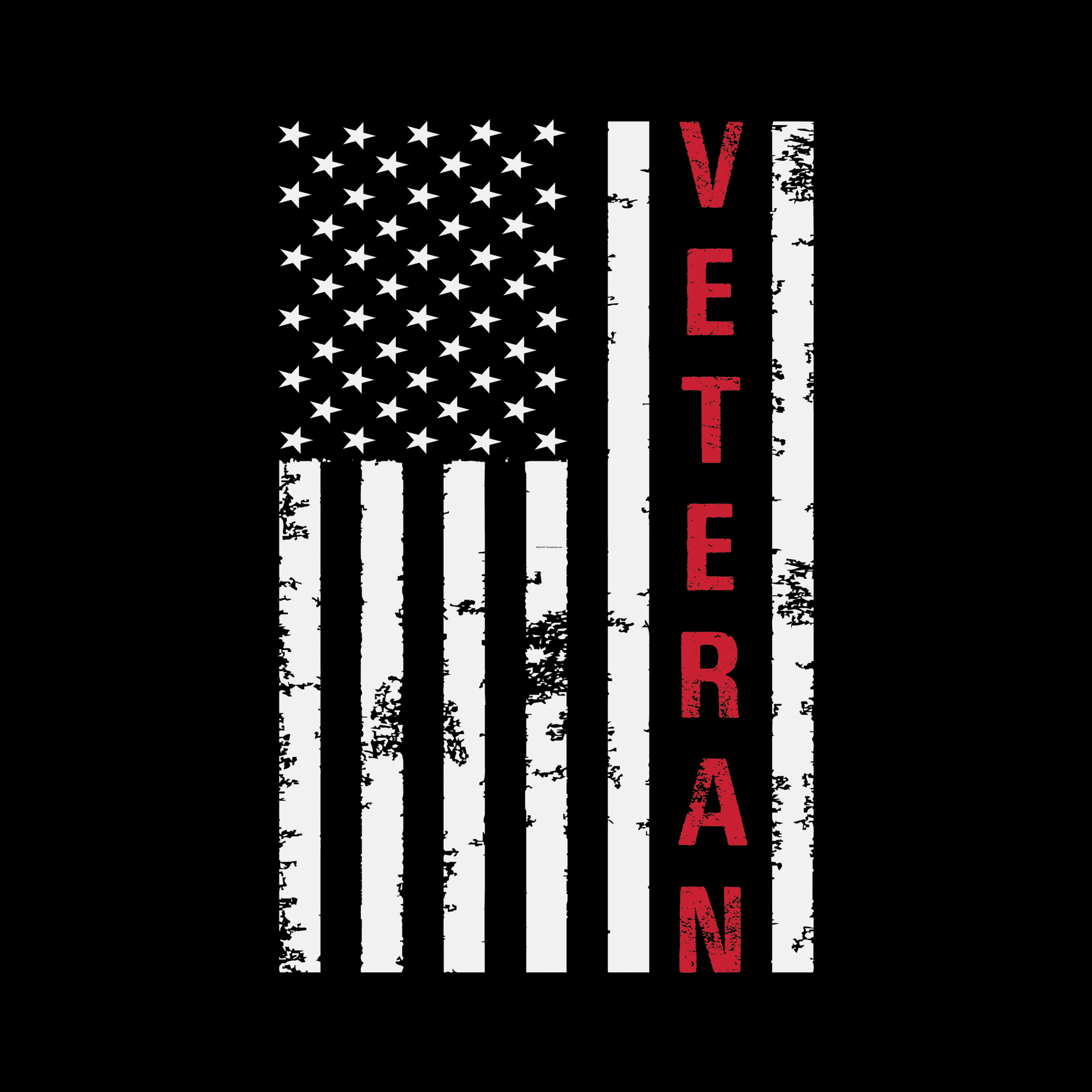 V34 Veteran Flag 2 Full Color DTF Transfer - Pro DTF Transfers